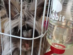 -UltraForce超源健身私教工作室(长楹天街精品店)