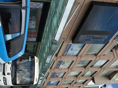 -芽庄中心购物广场