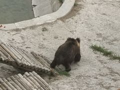 -青藏高原野生动物园