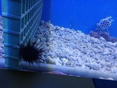 -泸州欢乐派海滩公园