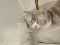-平行世界·猫咖(首经贸店)