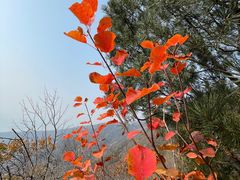 -北京十三陵国家森林公园蟒山景区