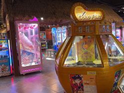 -卡通尼·Safari非洲探索乐园·生日会(金桥国际商业广场店)