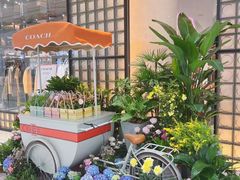 -COACH蔻驰(星光68广场店)