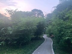-望江楼公园