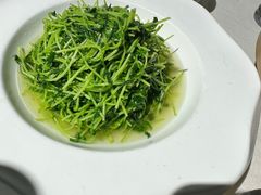 豆苗-白沙码头海鲜广场