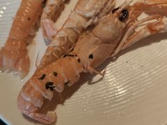 -拉蒂娜·巴西牛排馆 Latina·Brazilian Steakhouse(王府井喜悦店)