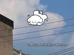-野妹经典火锅(江夏中百店)