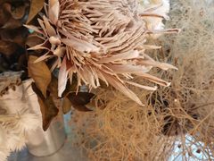 -二酉书店TOYOU BOOKS