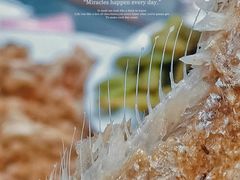 -胖姐烧烤(总店)