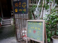 -猫色咖啡·猫咖