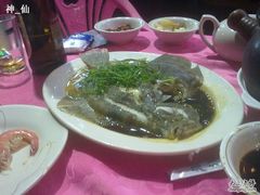 多宝鱼-湛江渔港·大排档(乐园路总店)