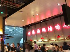 -陈鹏鹏潮汕菜(宝安机场T3航站楼店)