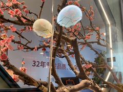 -老板恋上鱼(振华商厦店)