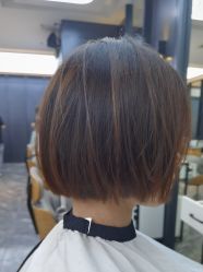 -藤野造型
