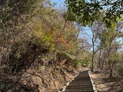 -青龙山国家森林公园