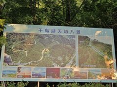 -千岛湖天屿景区