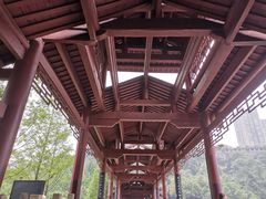-重庆彩云湖湿地公园