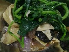 -美兰春记食店·龙舌坡红烧牛肉