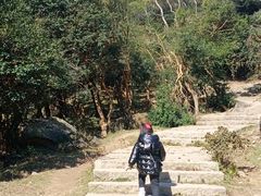 -大姆山草场