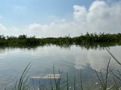 -北海金海湾红树林生态旅游区