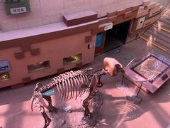 -陕西自然博物馆