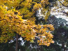 -成都市活水公园