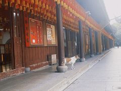 -龙华素斋(龙华路店)