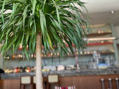 大堂-成都娃娃花园餐厅(河西旗舰店)