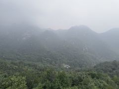 -大岭沟猕猴桃谷风景区