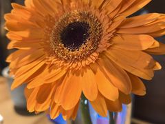 -懒人盐府人家(安贞店)