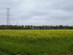 -嘉北郊野公园