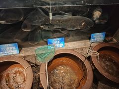 -上名堂·鱼头好吃(体育场路店)