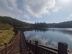 -海南热带雨林国家公园吊罗山景区