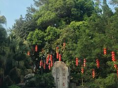 -广州市流溪河国家森林公园