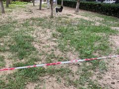 -北京恒爱动物医院(清景园分院)