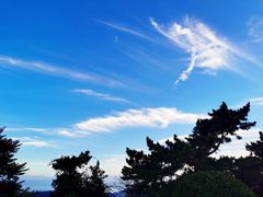 -棒棰岛宾馆景区