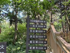 -鲁山国家森林公园