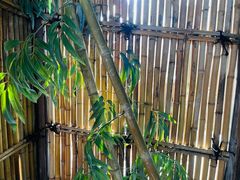 -春晖园度假酒店温泉