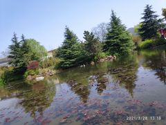 -白马涧龙池景区