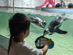 -北戴河圣蓝海洋公园