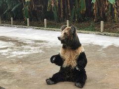 -贵州森林野生动物园