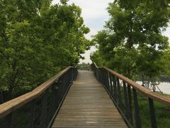 -东郊湿地公园