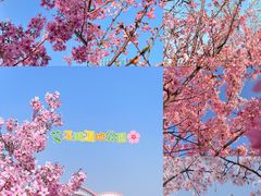 -艾溪湖湿地公园