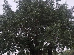 -白沙门生态公园