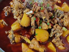 -青城甲(青城山店)