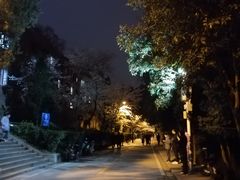 -武汉大学-樱园