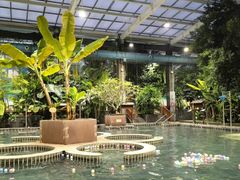 -观唐（国际）度假村温泉