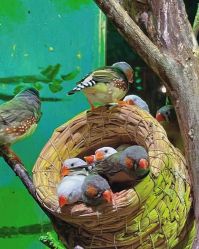 -Zoolung Zoolung动物主题公园(海信广场店)