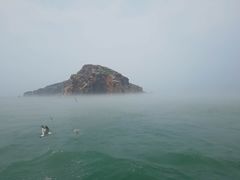 -海驴岛(荣成市)